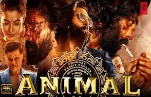 Animal Full Action Hindi Movie |Ranbir Kapoor New Hindi Movie 2024